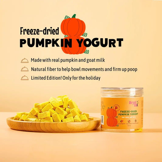 Freeze-Dried Pumpkin Yogurt image 1