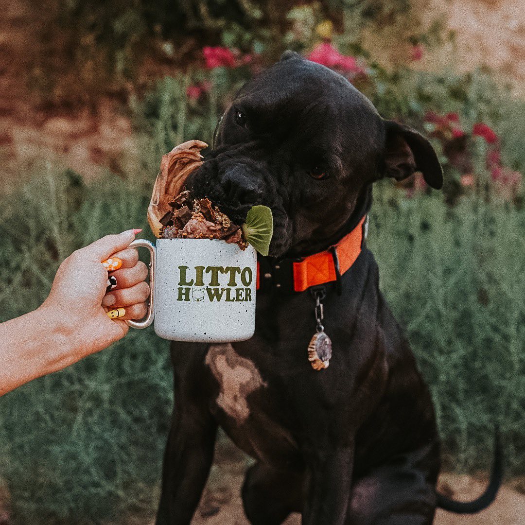 Wild N Fresh Duck Feet