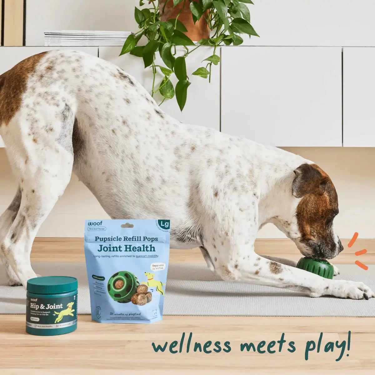Hip & Joint Wellness Pops image 1