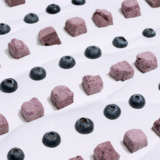 Anytime Yogurt! Freeze-Dried Yogurt with Blueberry image 1