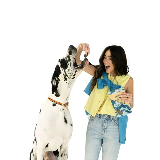 Winnie Lou Elk Jerky