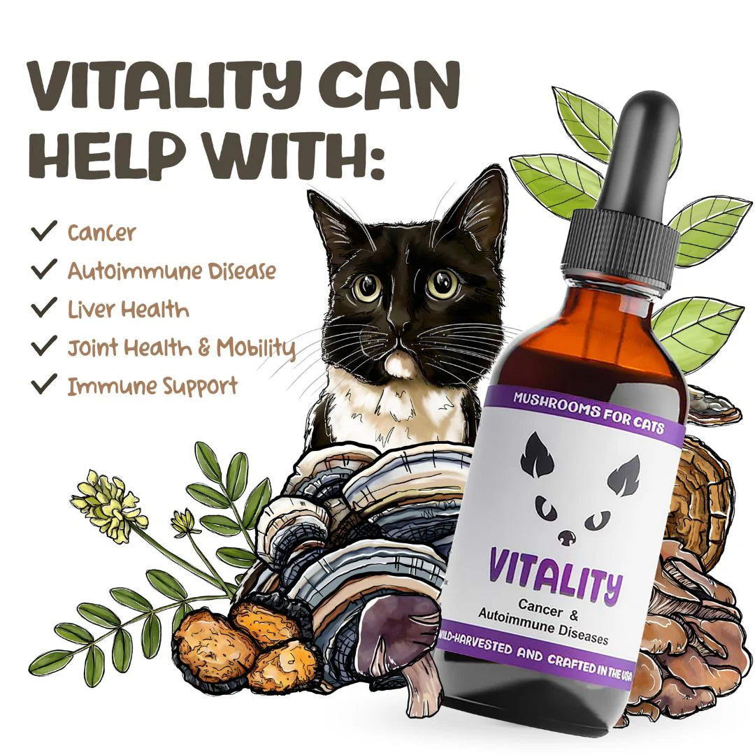 Vitality for Cats