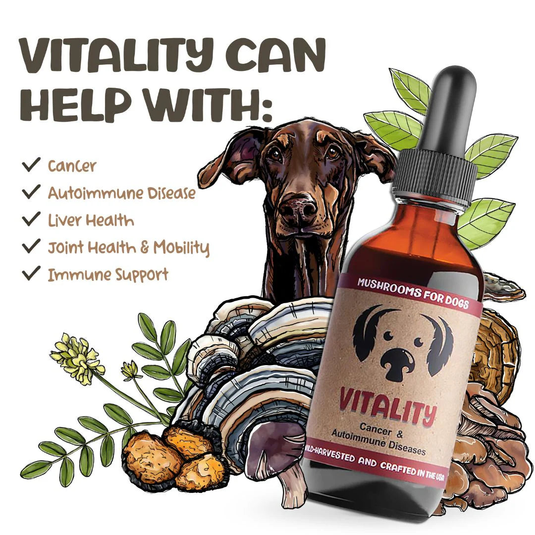 Vitality for Dogs
