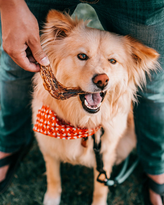 Wild N Fresh Duck Wings