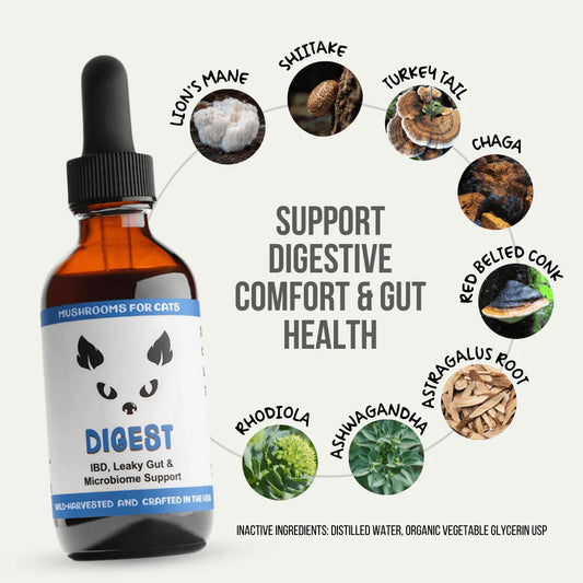 Digest for Cats