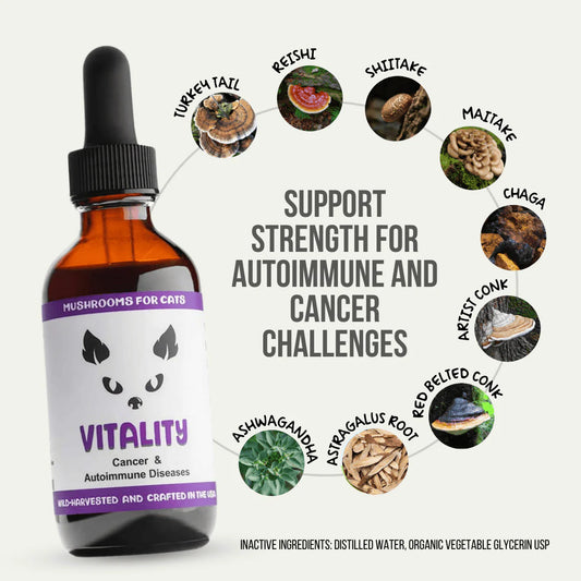 Vitality for Cats