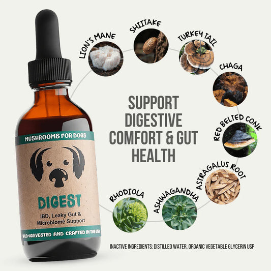Digest for Dogs