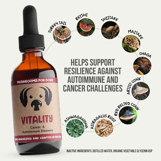 Vitality for Dogs