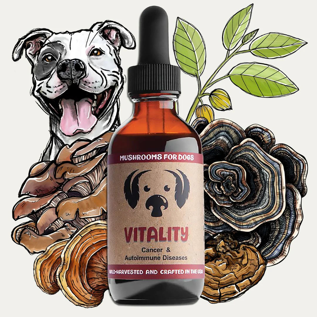 Vitality for Dogs