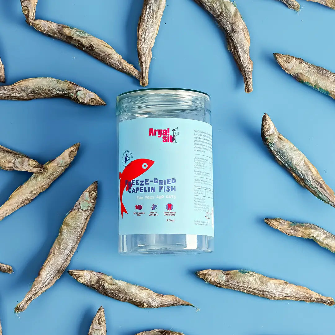 Freeze-dried Capelin Fish image 0