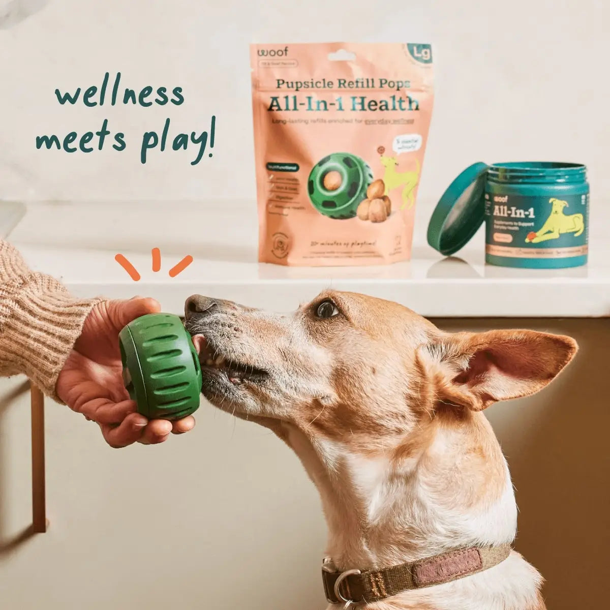 All-in-1 Wellness Pops image 2