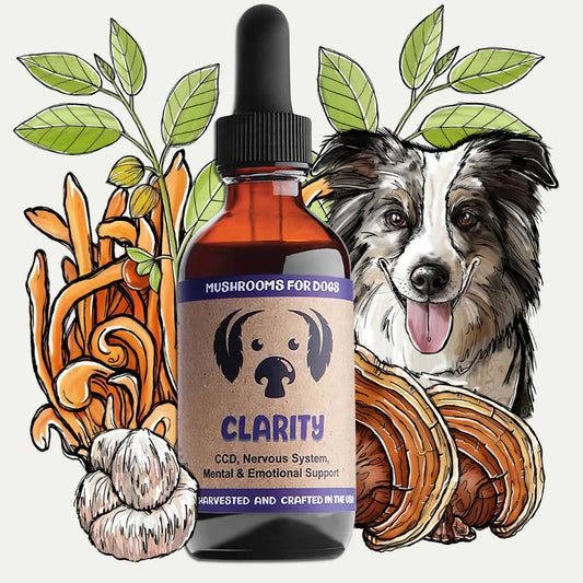 Clarity for Dogs