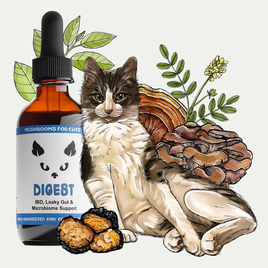 Digest for Cats