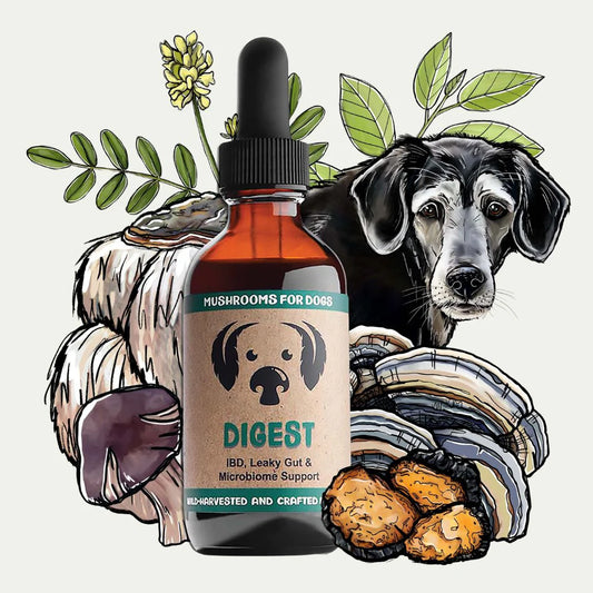 Digest for Dogs