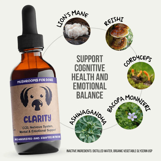 Clarity for Dogs