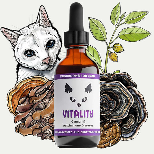 Vitality for Cats